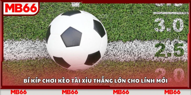 Bí kíp chơi kèo tài xỉu thắng lớn cho lính mới