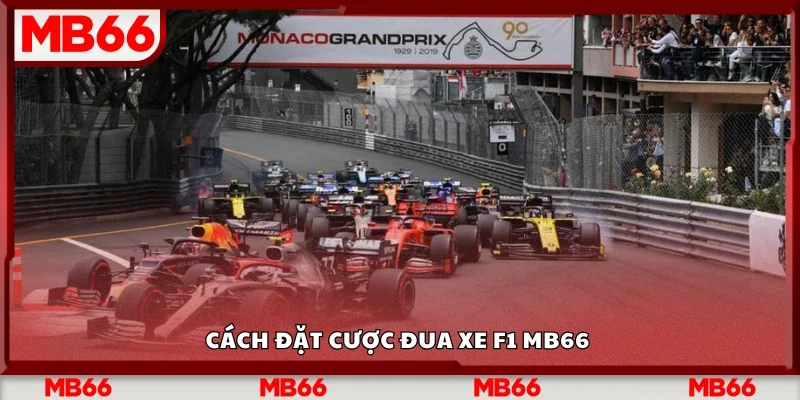 Các bước đặt cược đua xe F1 Mb66 hiệu quả