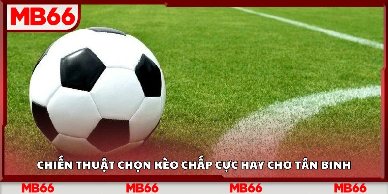 Các chiến thuật chọn kèo chấp cực hay cho tân binh