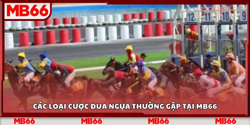 Các loại cược đua ngựa thường gặp tại MB66