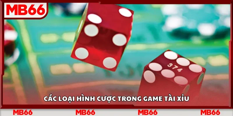 Các loại hình cược trong game Tài Xỉu