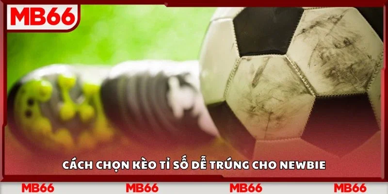 Cách chọn kèo tỉ số dễ trúng cho newbie
