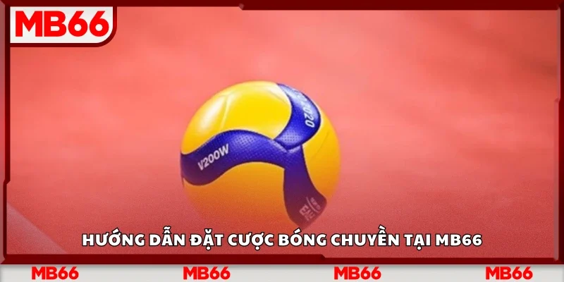 Cách đặt cược bóng chuyền tại Mb66