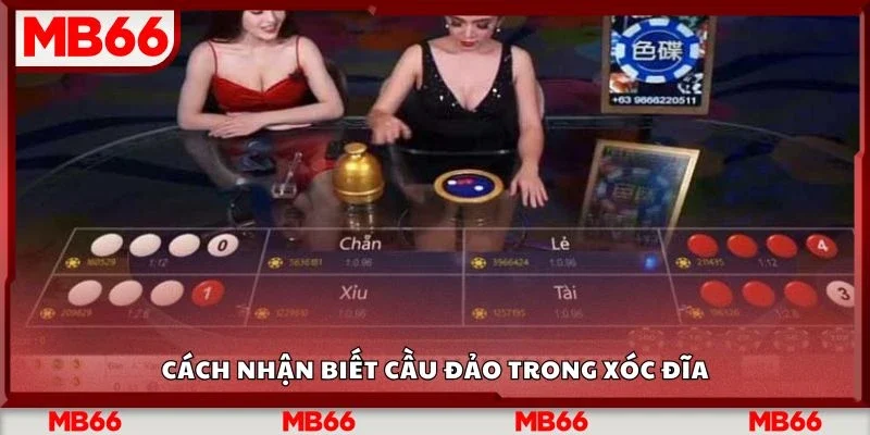 Cách nhận biết cầu đảo trong xóc đĩa