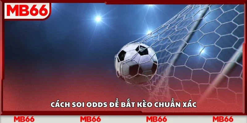 Cách soi odds để bắt kèo chuẩn xác