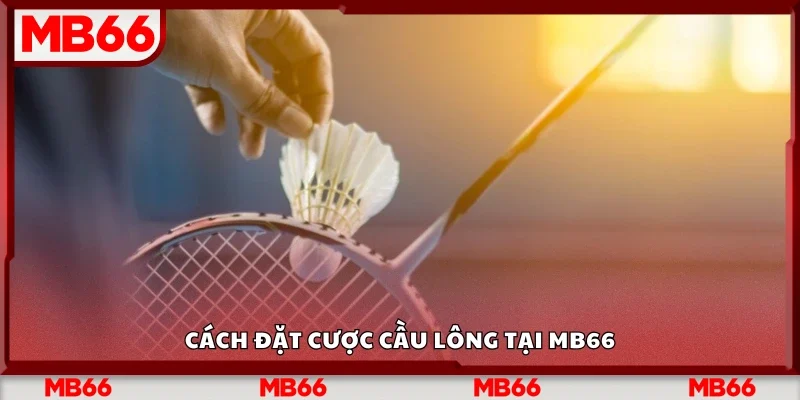 Hướng dẫn đặt cược cầu lông tại Mb66
