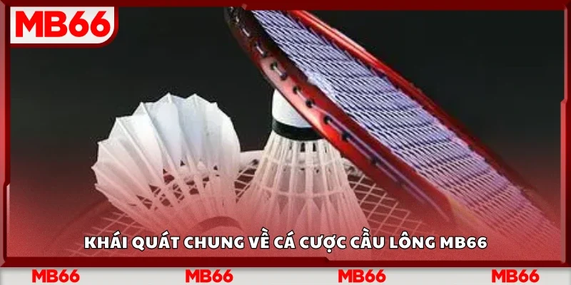 Khái quát chung về cá cược cầu lông Mb66