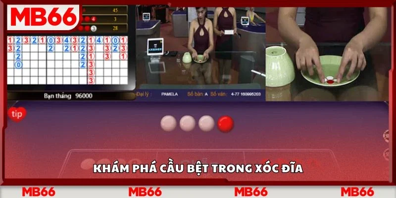 Khám phá cầu bệt trong xóc đĩa