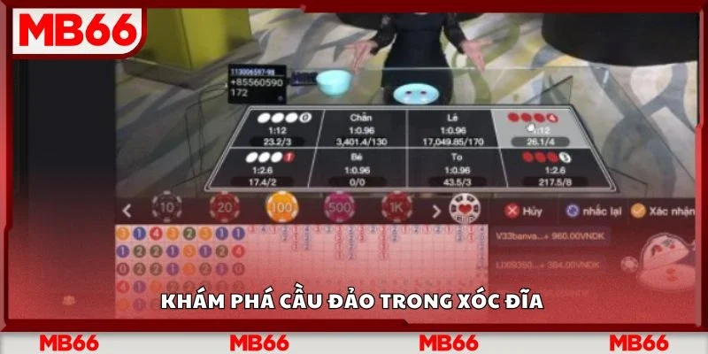 Khám phá cầu đảo trong xóc đĩa 