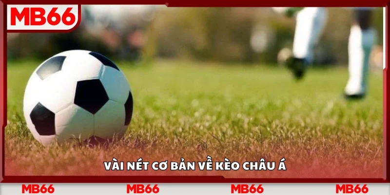 Khám phá cơ bản về kèo châu Á