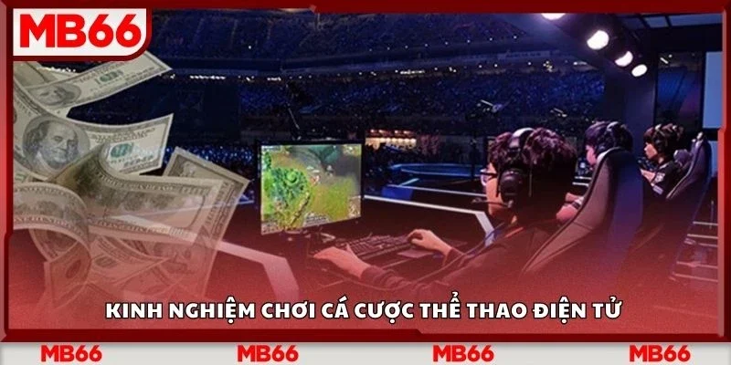 Kinh nghiệm chơi cá cược thể thao điện tử