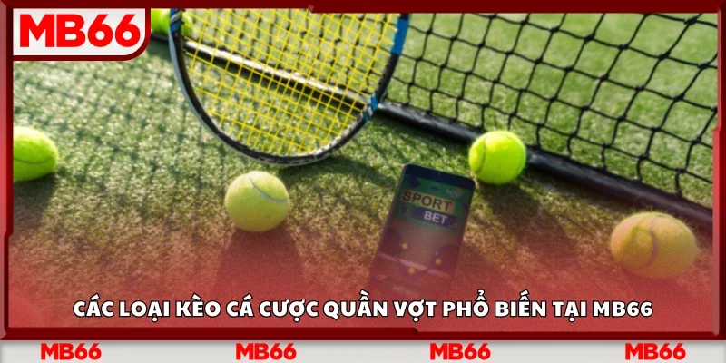 Một số loại kèo cá cược quần vợt phổ biến tại Mb66