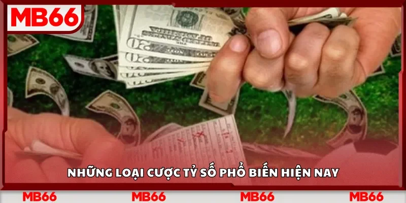 Những loại cược tỷ số phổ biến hiện nay