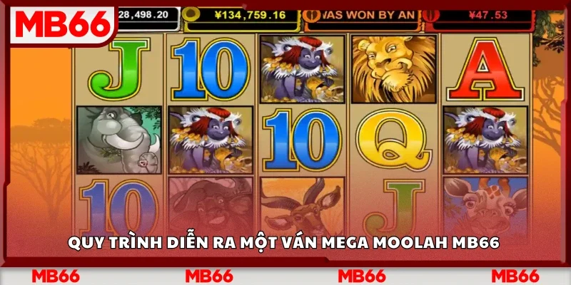 Quy trình chơi một ván Mega Moolah Mb66