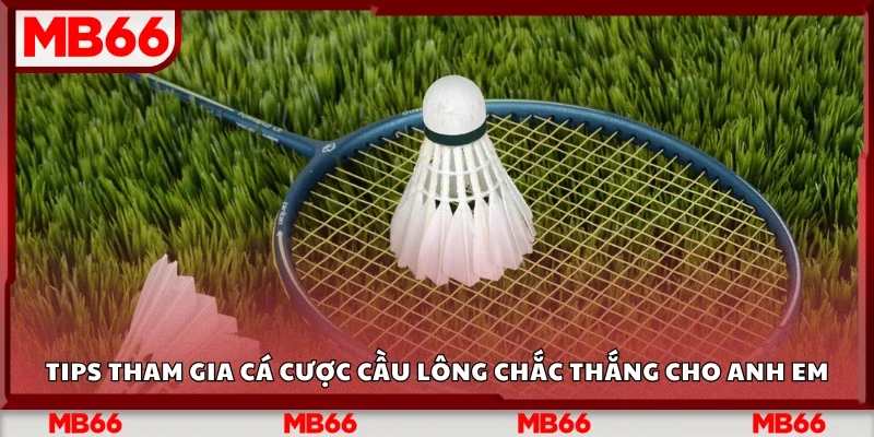 Tips cá cược cầu lông chắc thắng