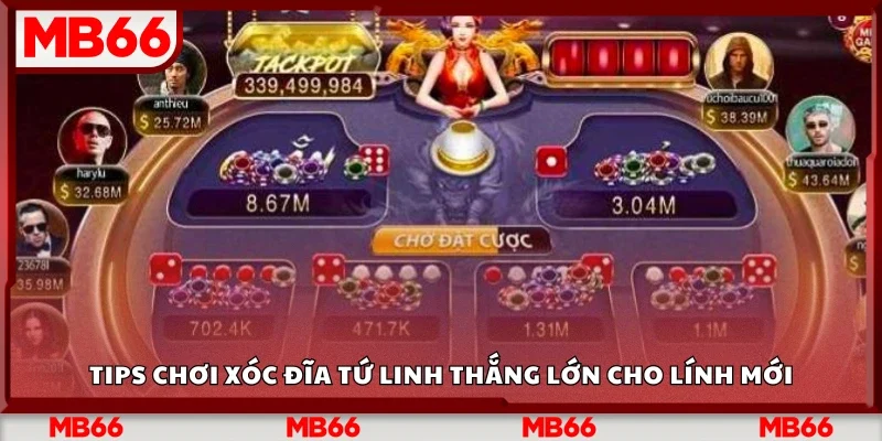 Tips chơi Xóc Đĩa Tứ Linh thắng lớn cho lính mới