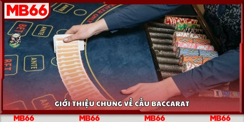 Tổng quan về cầu baccarat