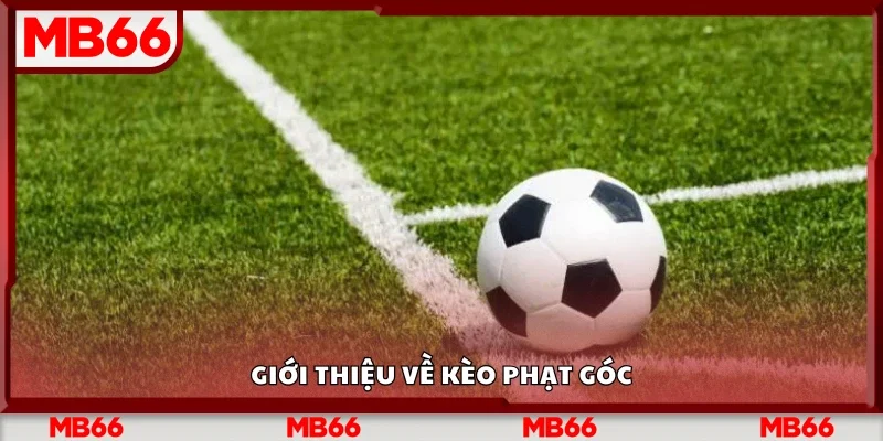 Tổng quan về kèo phạt góc